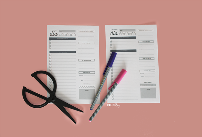 Planificador diario - Imagen 4