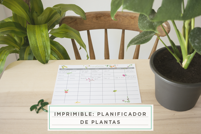 Planificador plantas