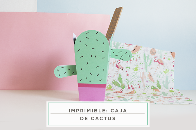 caja de cactus - Estudio