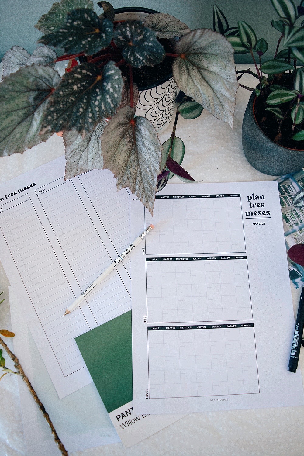 planificador trimestral imprimible