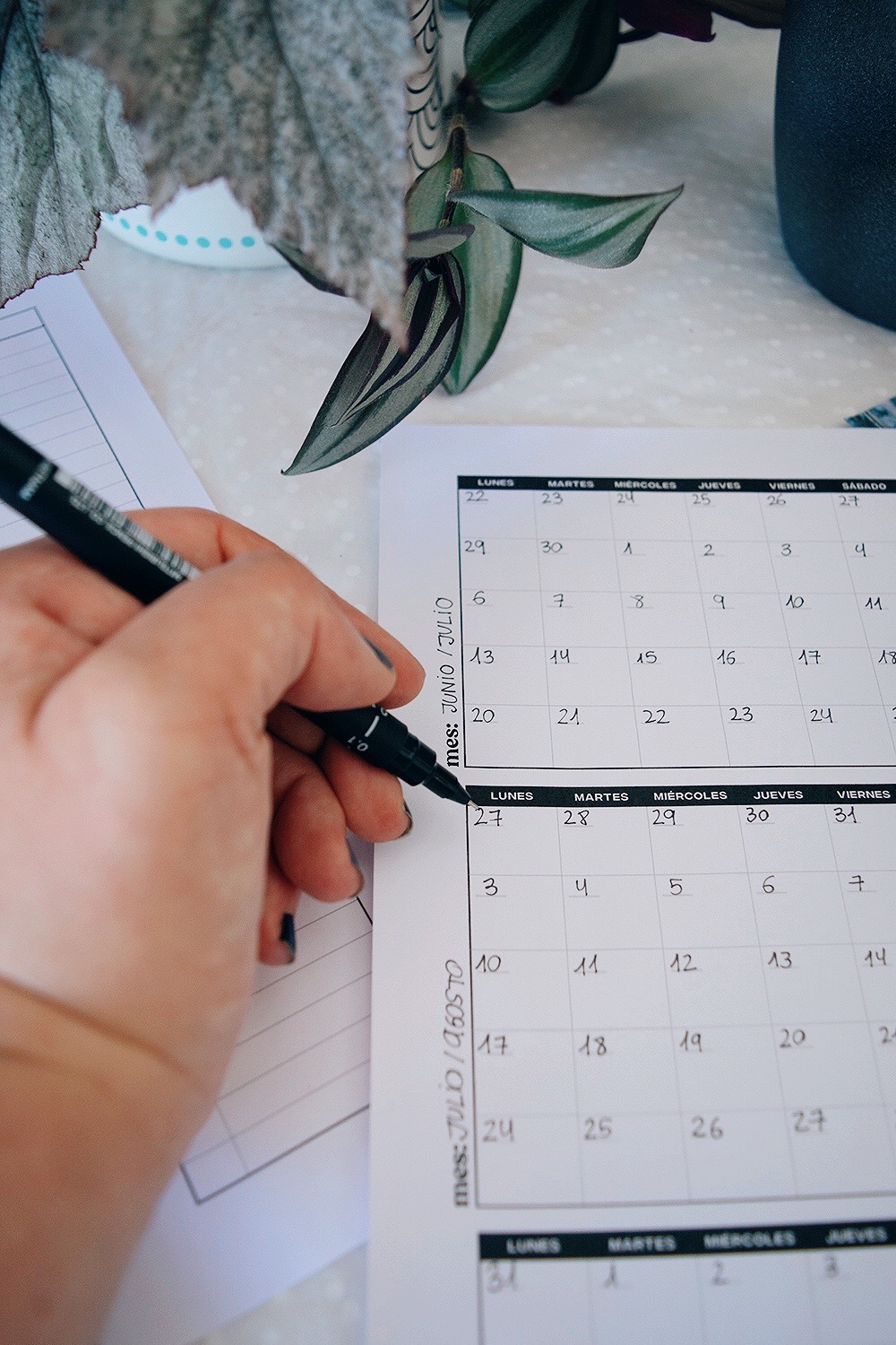 planificador trimestral imprimible