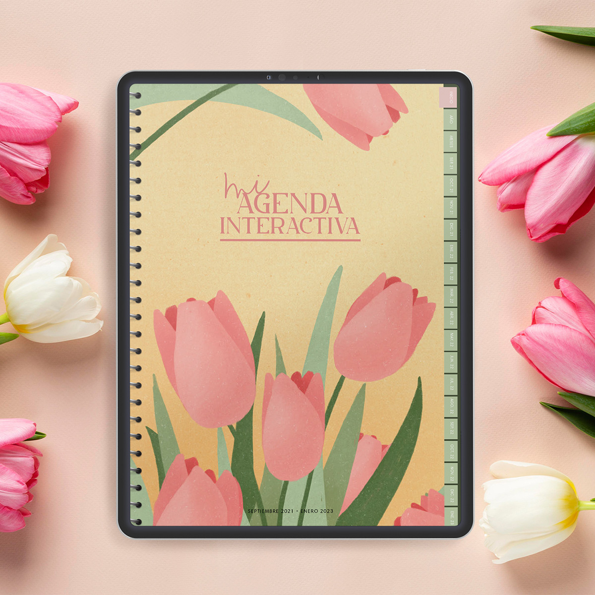 mi agenda interactiva