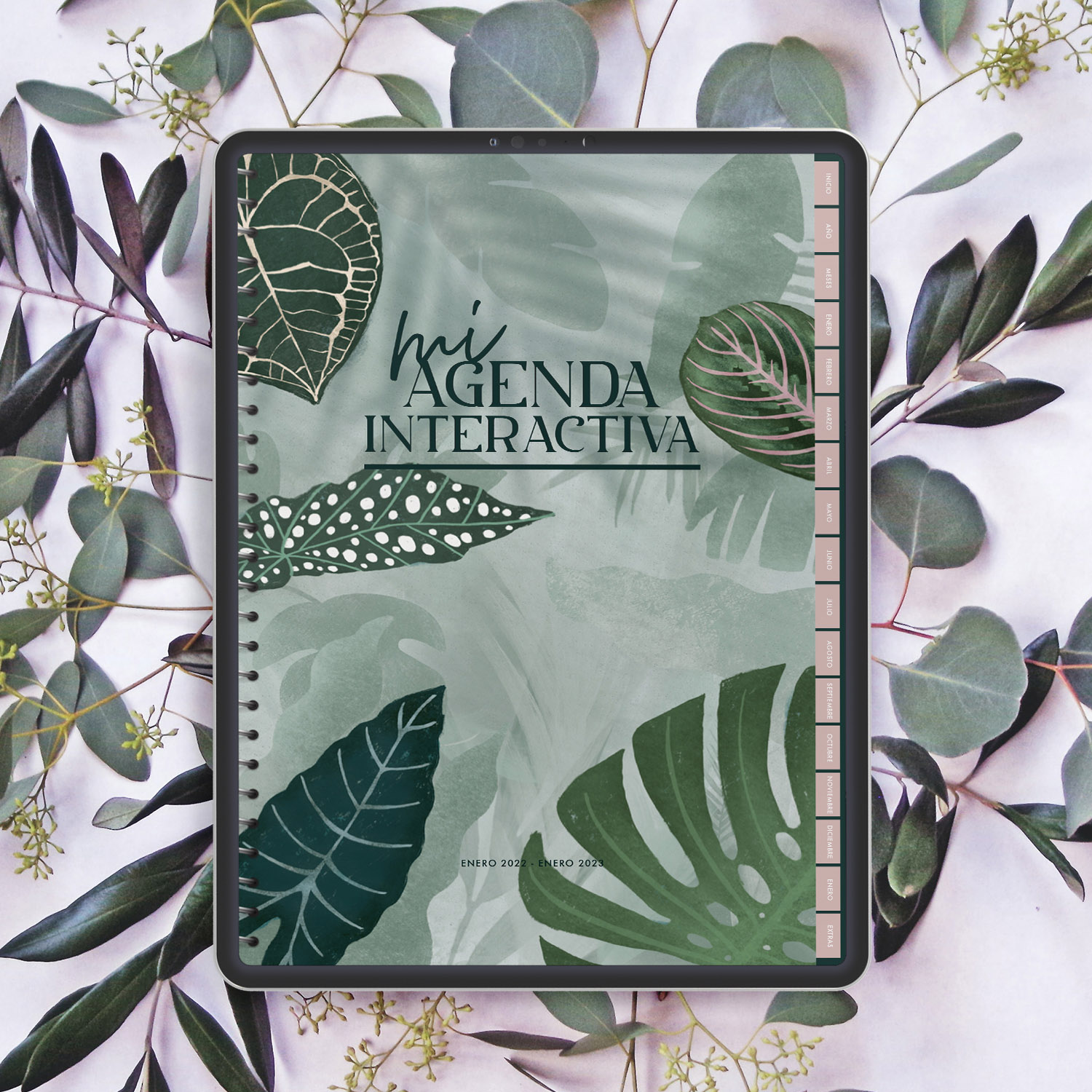 Mi agenda interactiva - Jardín