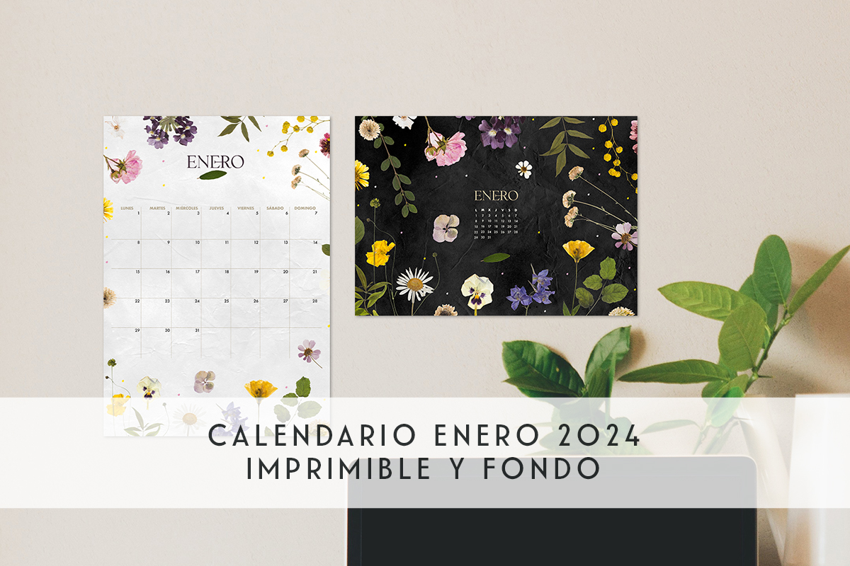 Calendario enero 2024